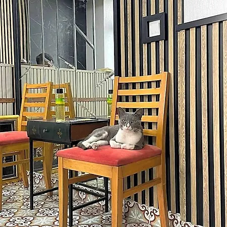 Hotel Taksim Park